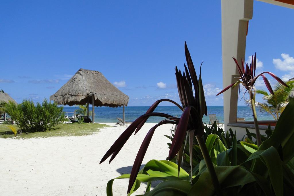 Mayan Beach Garden El Placer Extérieur photo